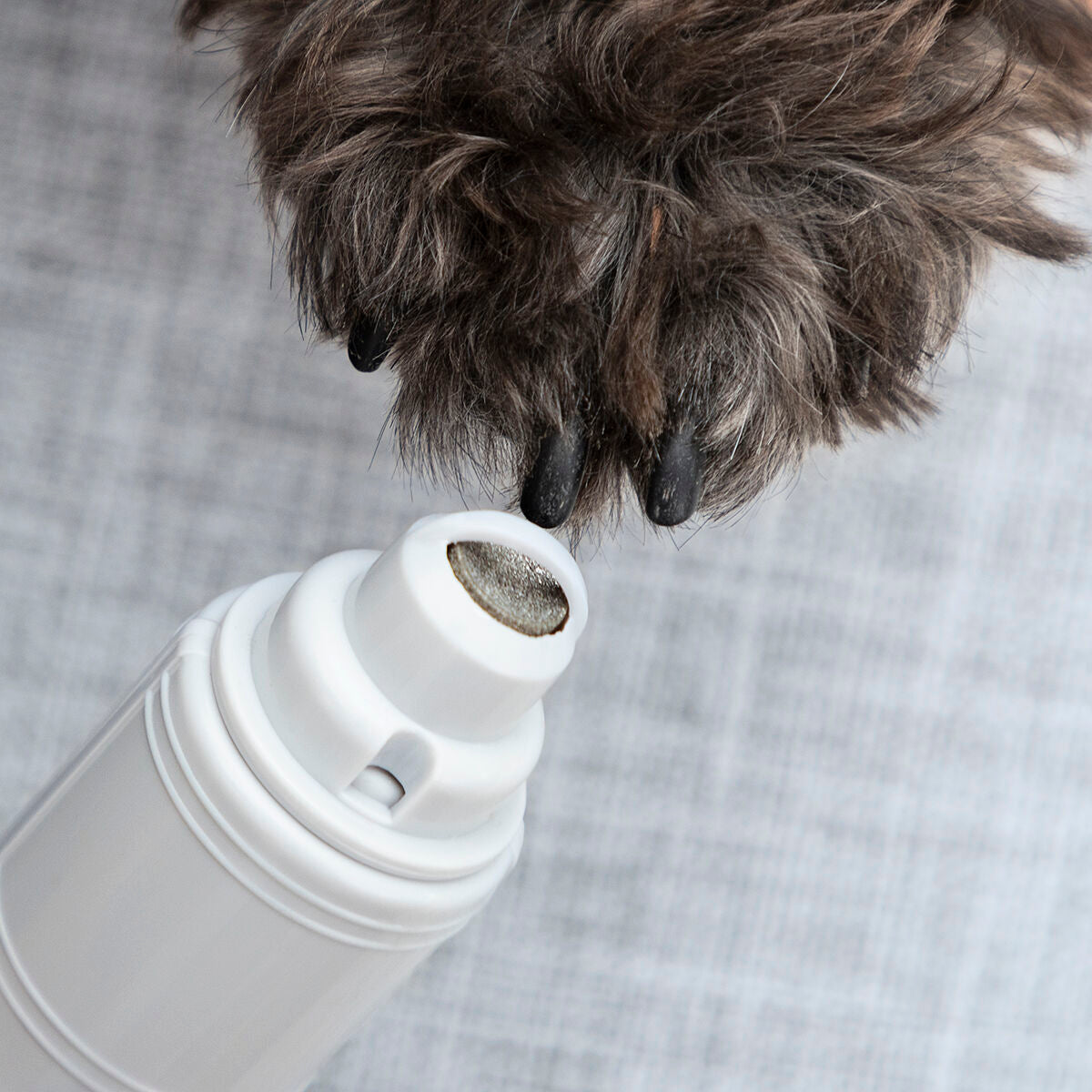 Lime à Griffes Électrique pour Animaux de Compagnie PediPet InnovaGoods