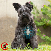 Répulsif Anti-nuisible à Ultrasons Rechargeables pour les Animaux de Compagnie PetRep InnovaGoods